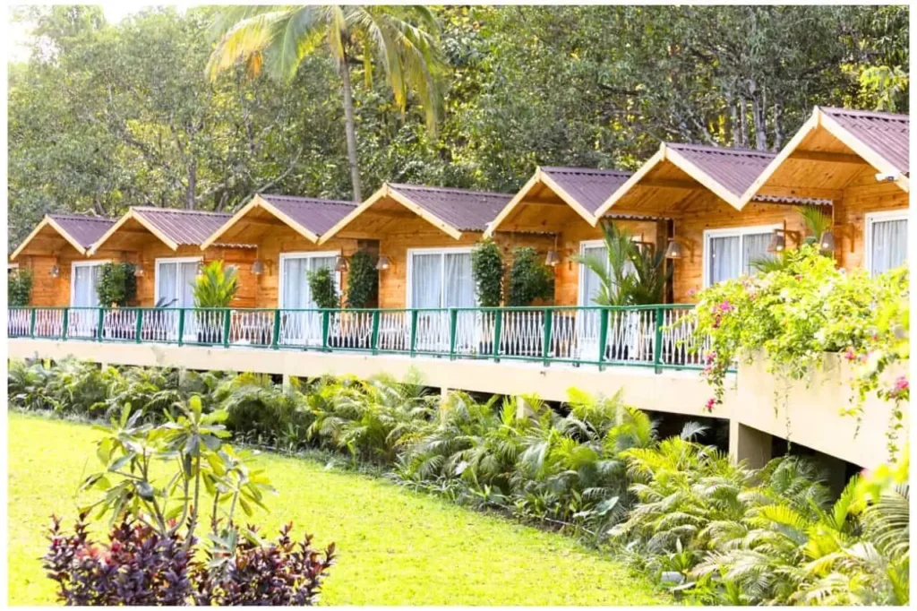 Jungle Resorts in Dandeli