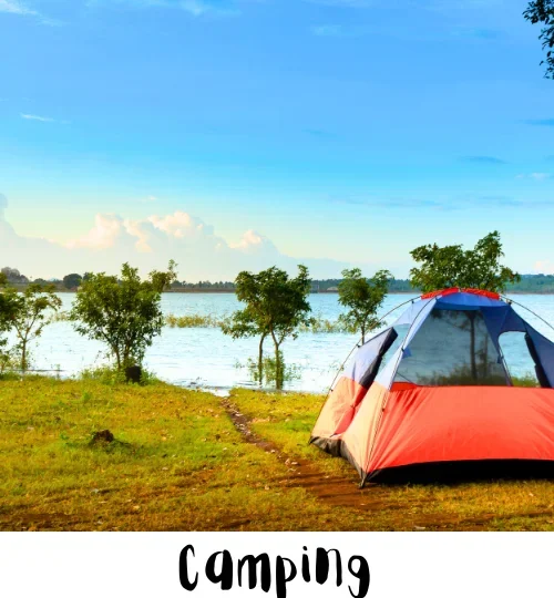 Camping, Dandeli